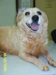   Encontrada!!!!