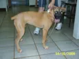   Encontrada na UFMS