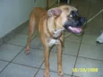   Encontrada na UFMS
