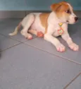 Tony
