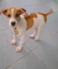 Tony