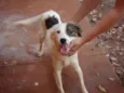 Jack
