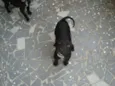 Tico e Teco