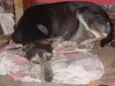 ENCONTRADA busca No