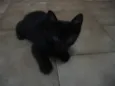 Negão e Menina