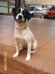 Cássia