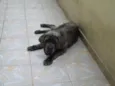 Zeus