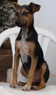 Pequenos + Cuidam
