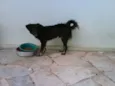 ALADIM -- ENCONTRADO
