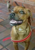 Billy