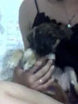 Júlia