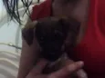 Júlia