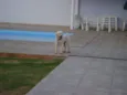 VELUDO é como Está