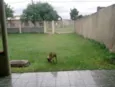 Apolo FELIZ