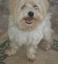 Cecí LINDÍSSIMA