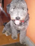 Não tem nome