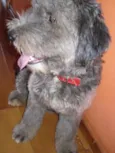 Não tem nome