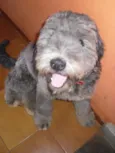 Não tem nome