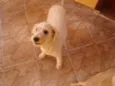 ENCONTRADA