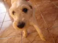ENCONTRADA