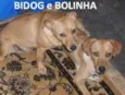 4 Amores