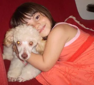 Cachorro raça Poodle idade 2 anos nome Pakita