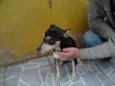 Salgadinho