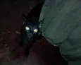Milú