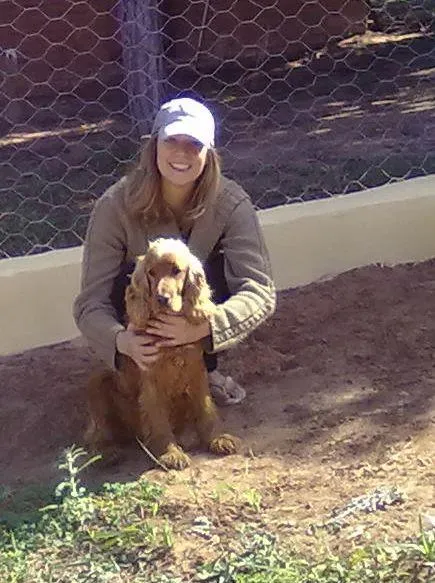 Cachorro ra a cocker spaniel idade 6 ou mais anos nome Teleco GRATIFICA