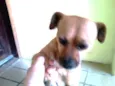 Bob