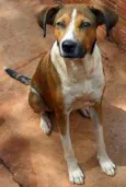KALU