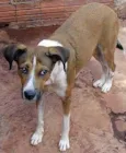 KALU