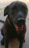 FIONA