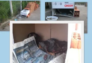 Cachorro raça SRD idade  nome Desconhecido