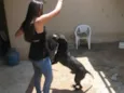SANSÃO