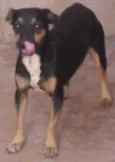 Magali/Mônica