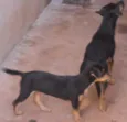 Magali/Mônica