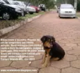 Sultão: lar temporá