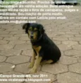 Sultão: lar temporá