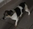 Abandonado - Bidu
