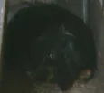 Resgatada