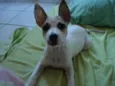 Lila