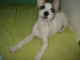 Lila