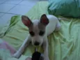 Lila