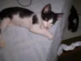 FOFINHO