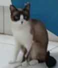 LUISA