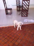 Lila