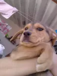 Doação Samantha