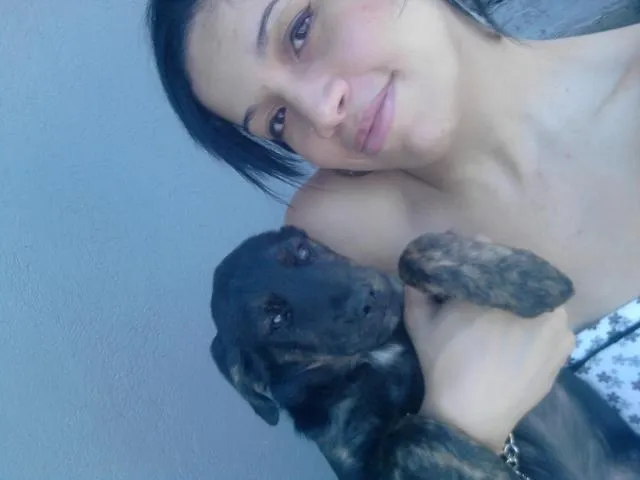 Cachorro ra a SRD idade 2 a 6 meses nome Doação Nina