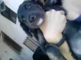 Doação Cindy